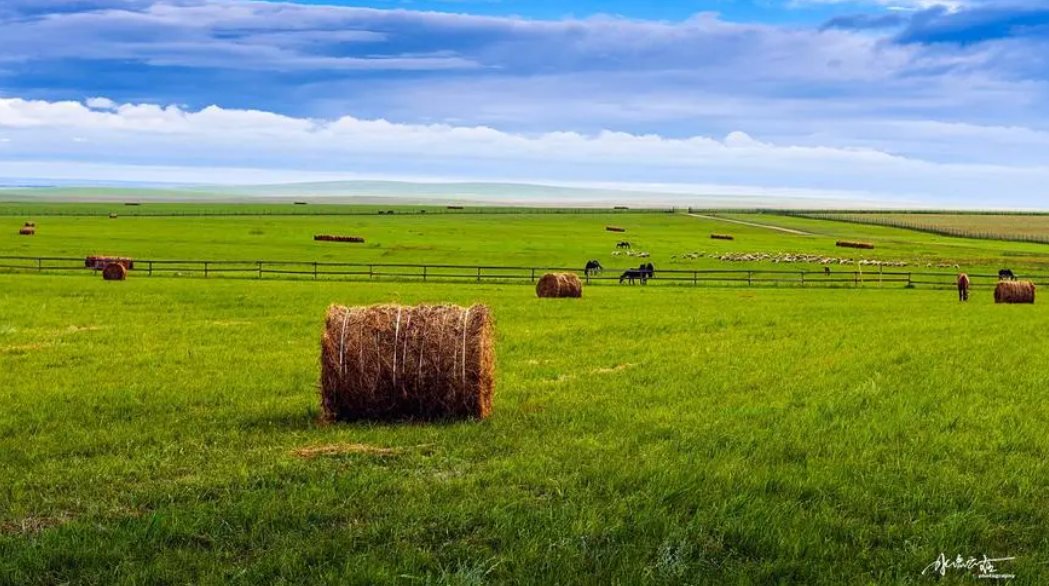 通辽市锦赢食品有限公司